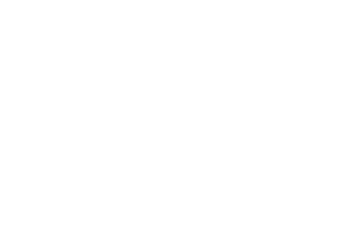 Prettymaker Nails